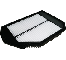 제네시스DH / EQ900 / G80  (A)