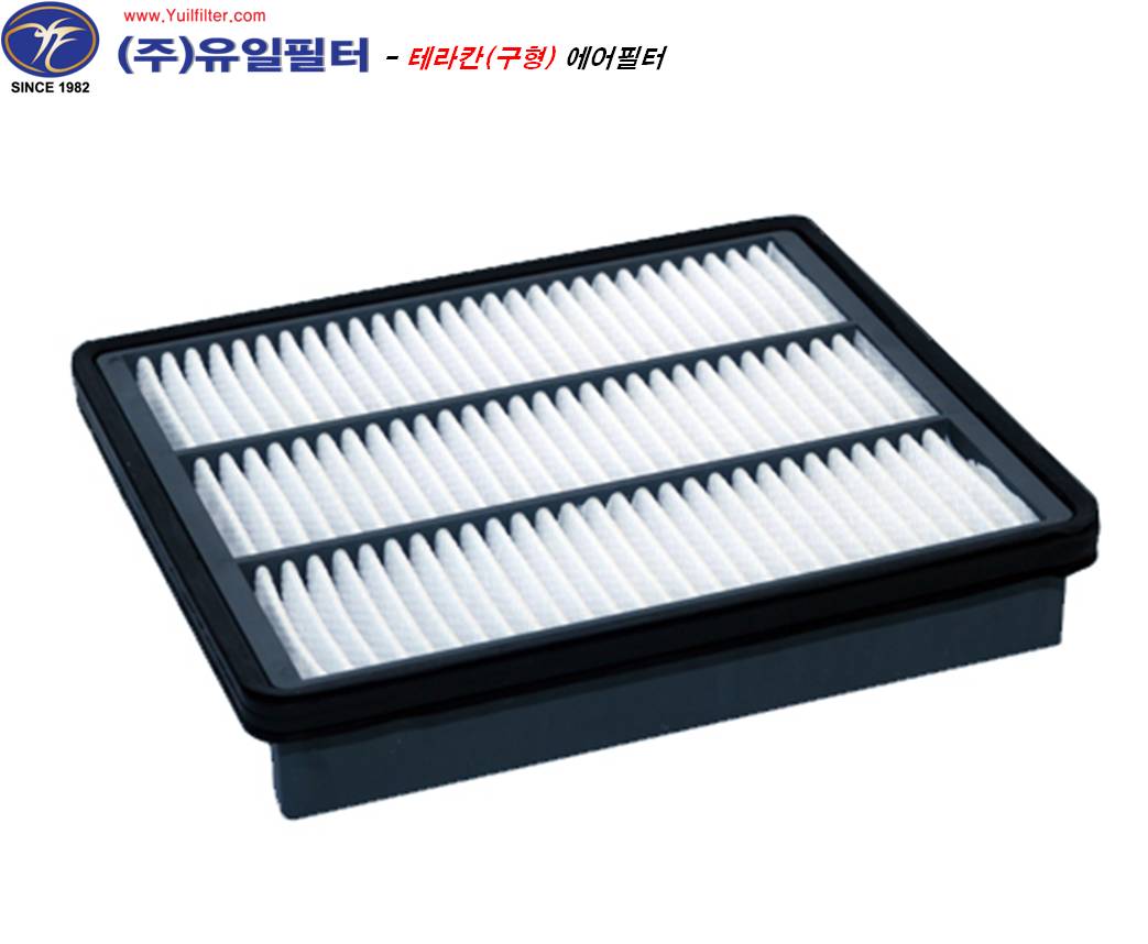 테라칸 (구형)  (A)