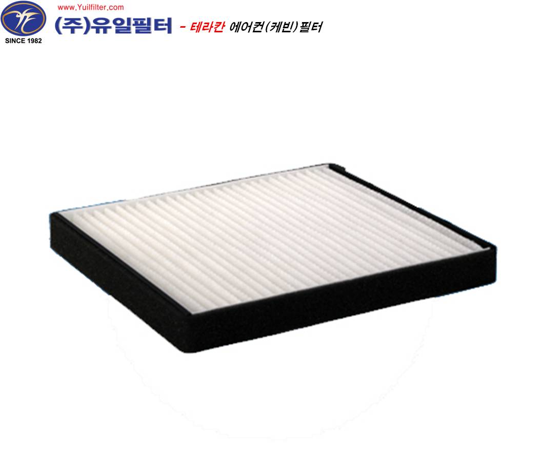 테라칸(구형) (C)